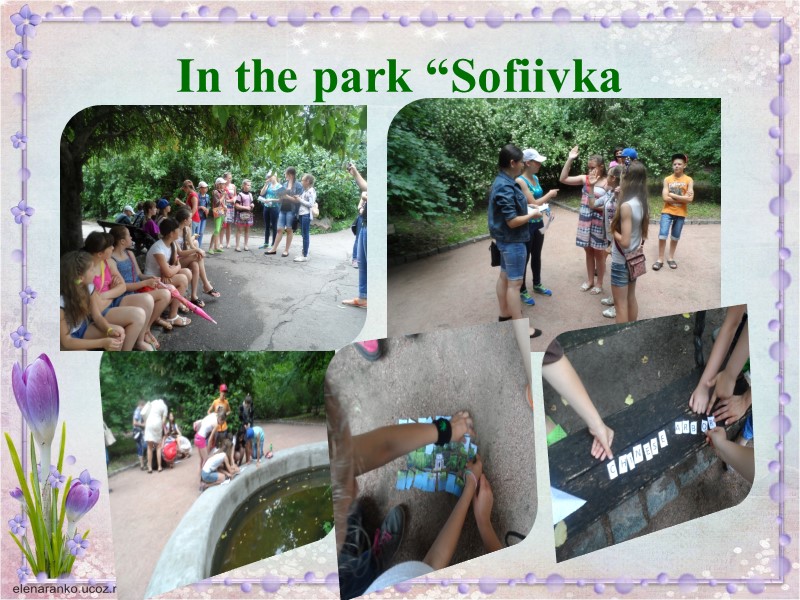 In the park “Sofiivka